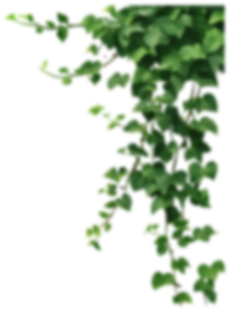 Planta